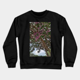 Sheltered with Love Crewneck Sweatshirt